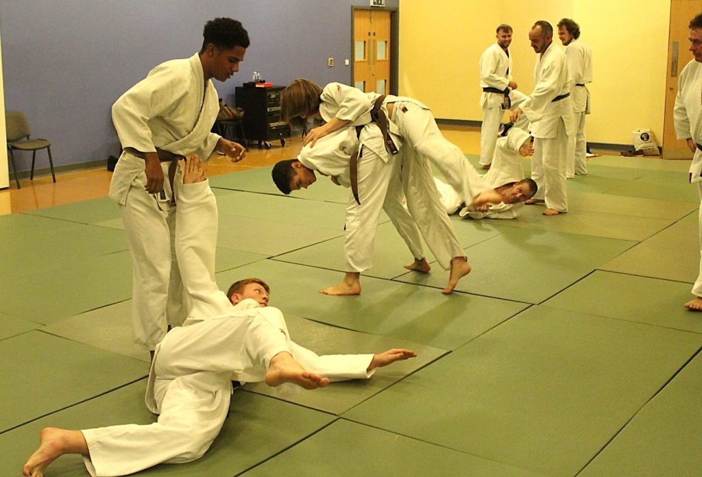 Adult 35+ Judo Induction Course at Elmbridge Xcel Leisure Centre Walton
