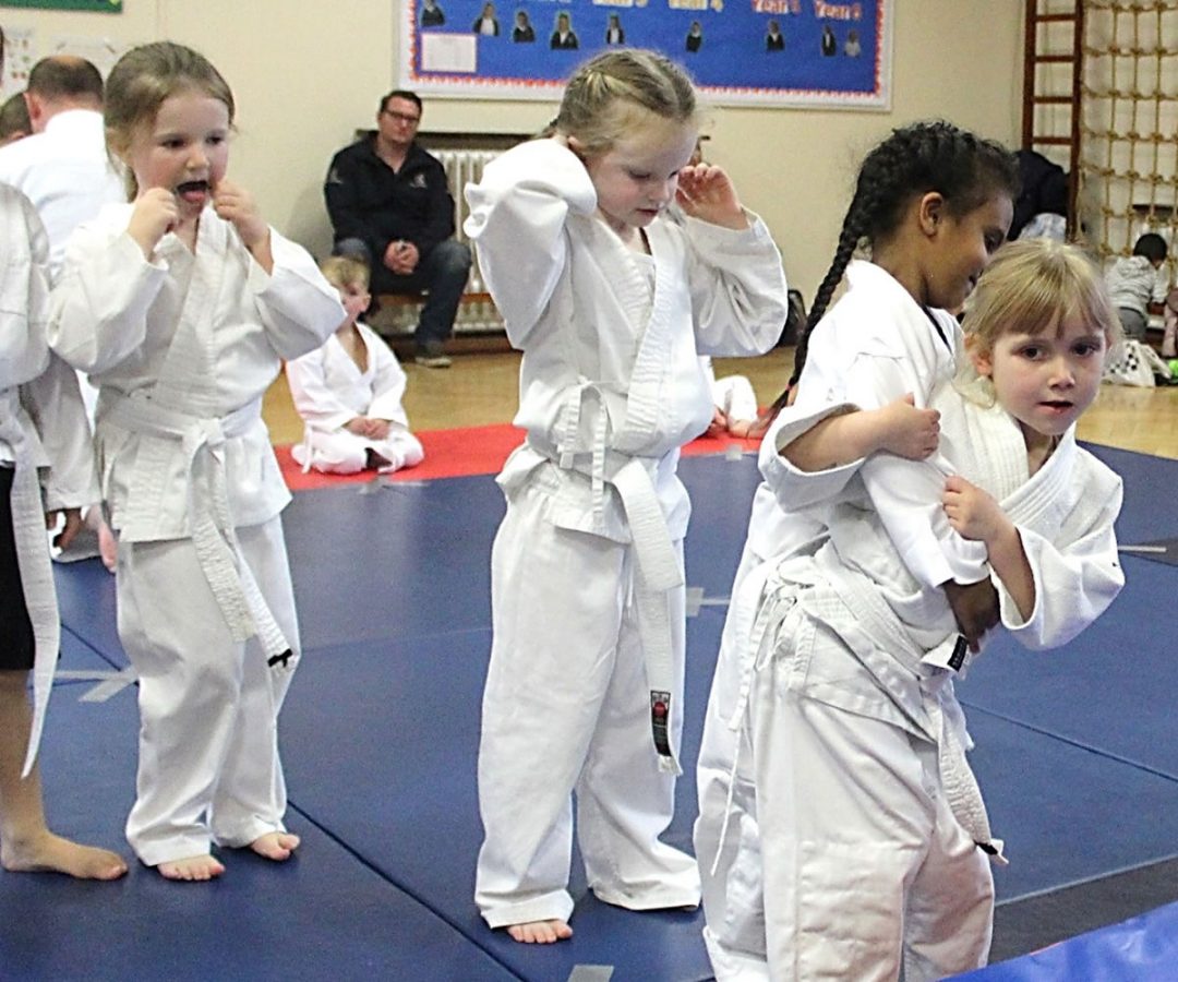 Judo Classes at Grovelands Primary School Walton on Thames ToraKai