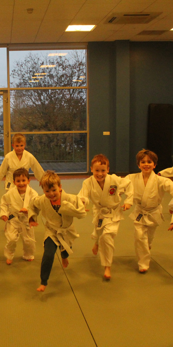Walton on Thames Judo Lessons at Elmbridge Xcel Sports Centre