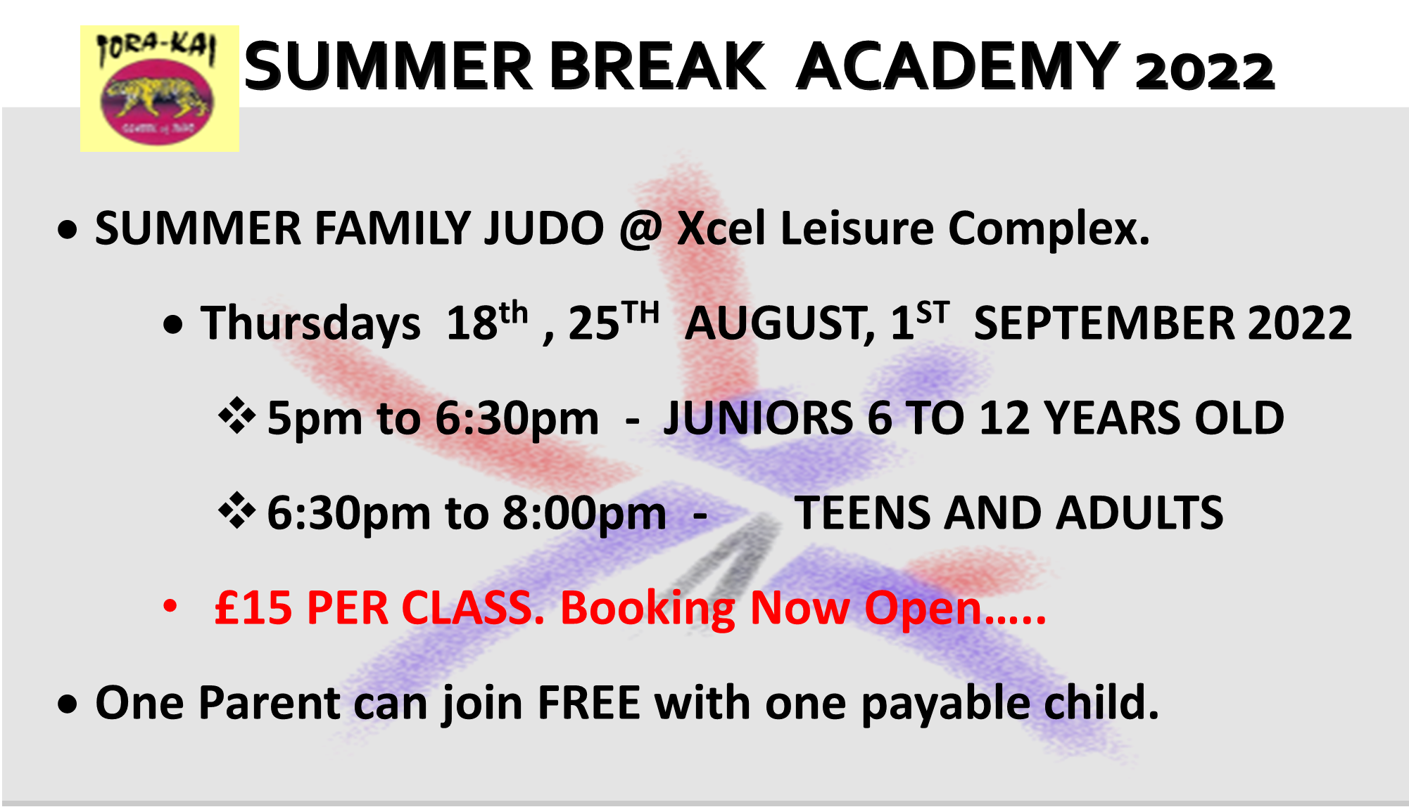 Family Judo Academy - Summer 2022 at the Elmbridge Xcel Leisure Complex Walton on Thames